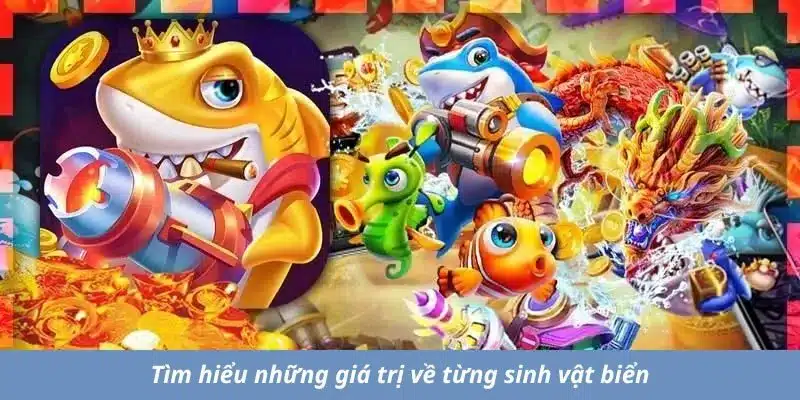 Tìm hiểu những giá trị về từng sinh vật biển