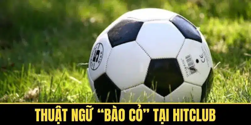 Thuật Ngữ “Bào Cỏ” Tại Hitclub – Công Thức Giữ Vốn Bền Vững